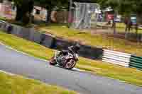 Advanced Group Silver_Grey Bikes